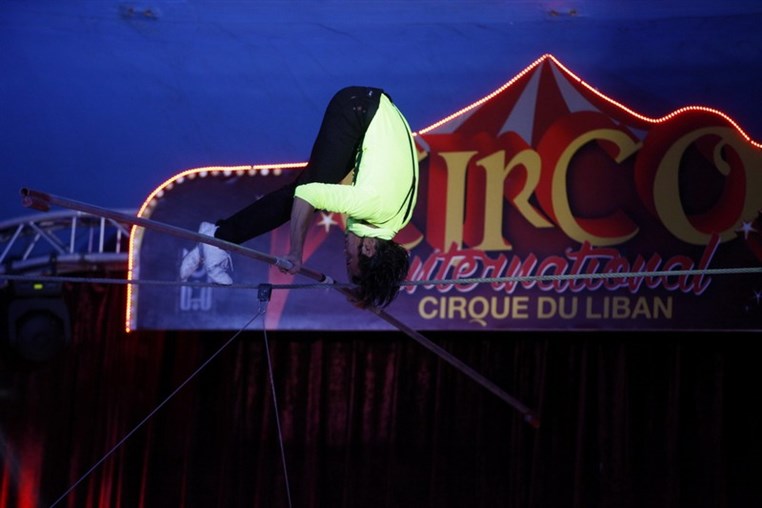 Circo International